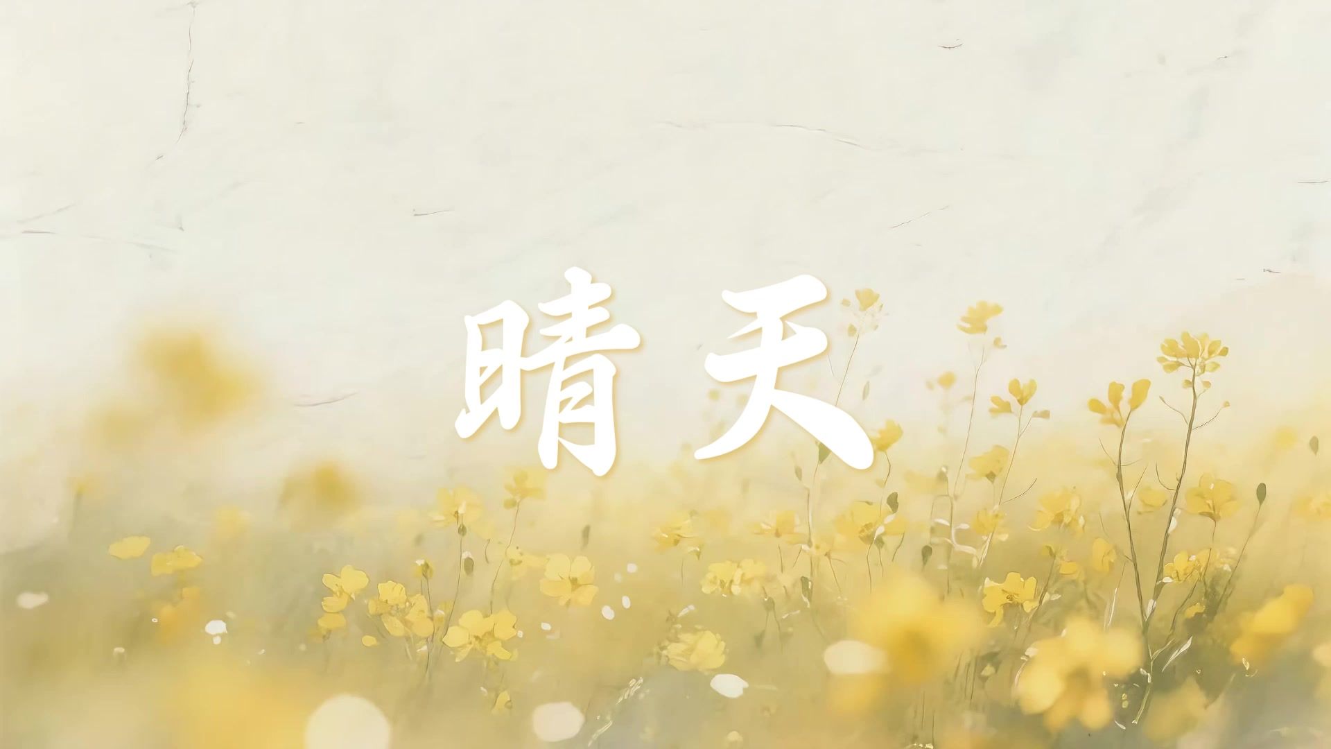 晴天代收